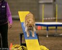 20140427-ag-0172