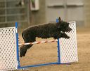 20140427-ag-0283