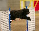 20140427-ag-0295