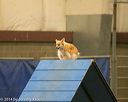 20140427-ag-0306