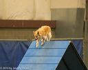 20140427-ag-0308