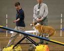 20140427-ag-0340