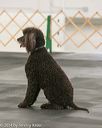 20140428-ob-0204