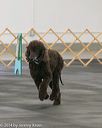 20140428-ob-0214