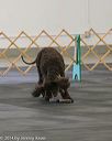 20140428-ob-0218