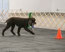 20140428-ob-0220