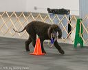 20140428-ob-0221
