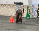 20140428-ob-0223