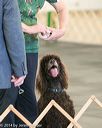 20140428-ob-0226