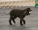 20140428-ob-0230