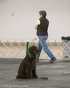 20140428-ob-0145