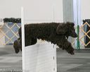 20140428-ob-0177
