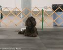 20140428-ob-0182