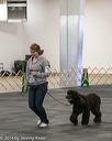 20140428-ob-0091