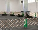 20140428-ob-0129