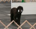 20140428-ob-0015