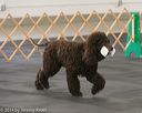 20140428-ob-0033