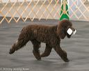 20140428-ob-0034