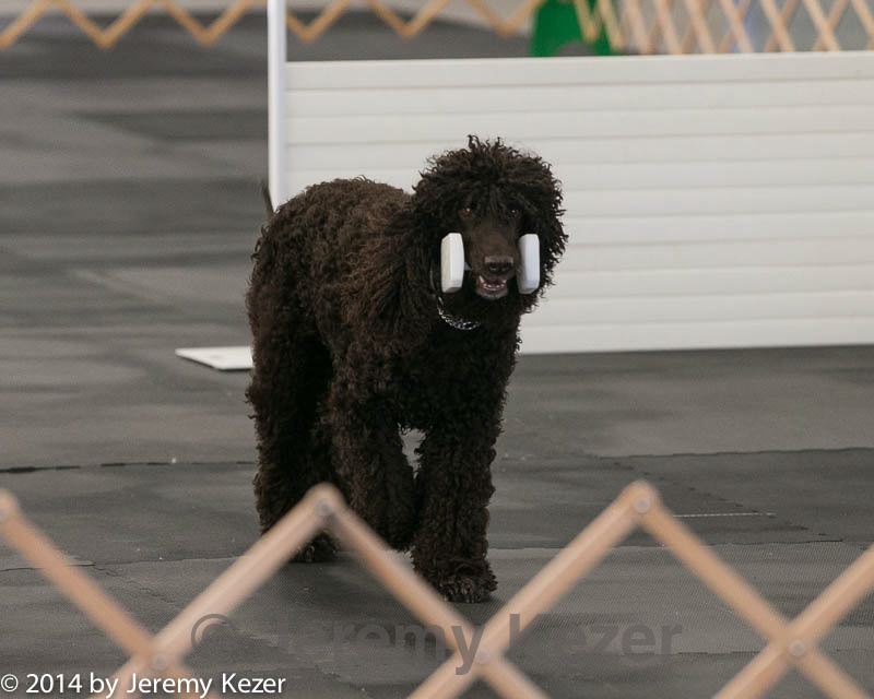 20140428-ob-0015.jpg