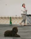 20140428-ob-0196