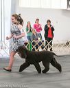 20140429-co-0067