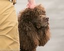 20140429-co-0550