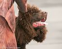 20140429-co-0552