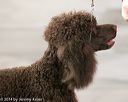 20140429-co-0555