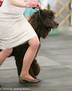 20140429-co-0559