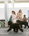 20140429-co-0560
