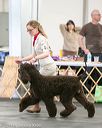 20140429-co-0564