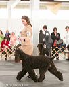 20140429-co-0579