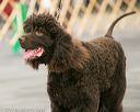 20140429-co-0584