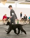 20140429-co-0273