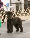 20140429-co-0338