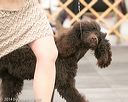 20140429-co-0309