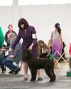 20140429-co-0518