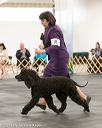 20140429-co-0525