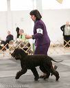 20140429-co-0528