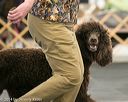 20140429-co-0535