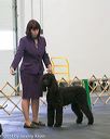 20140429-co-0358