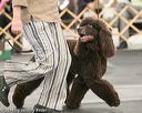 20140429-co-0456