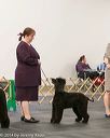 20140429-co-0395