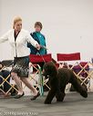20140429-co-0110