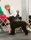 20140429-co-0127