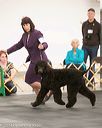 20140429-co-0153