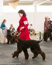 20140429-co-0212