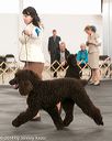 20140429-co-0229