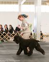 20140429-co-0429