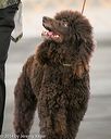 20140429-sw-0217